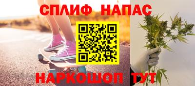 прущие грибы Обнинск