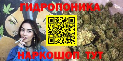 прущие грибы Обнинск
