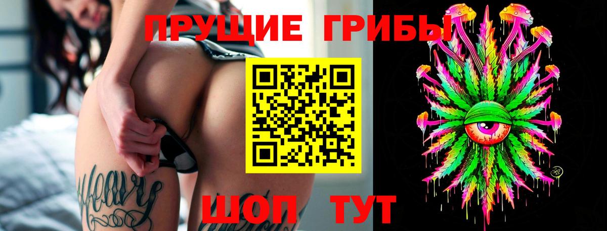 Галлюциногенные грибы Cubensis Россошь
