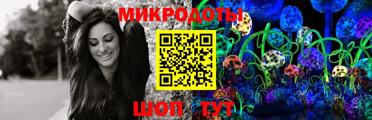Россошь  Псилоцибиновые грибы Cubensis  Вход с VPN 